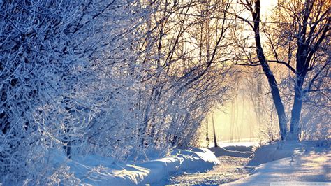 Download Winter Morning Light Wallpaper 1920x1080 | Wallpoper #449637