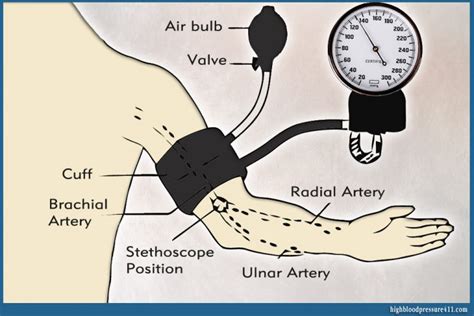 Digital Blood Pressure Monitor Circuit Diagram