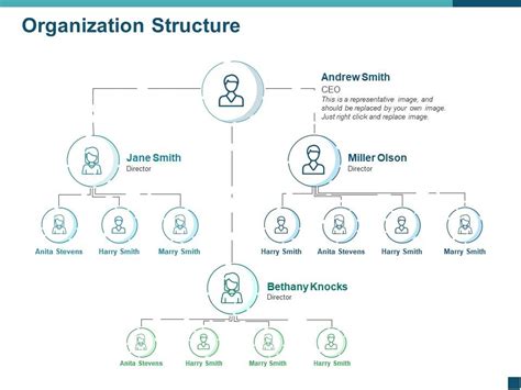 Organization Structure Ppt Template Powerpoint Presentation Slides