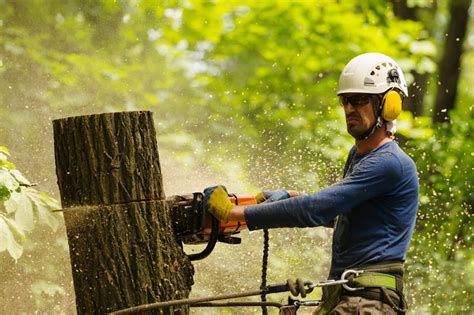 We did not find results for: Why Hire Tree Removal Service? | awaysomearticle.com