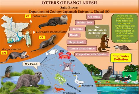 pdf otters of bangladesh