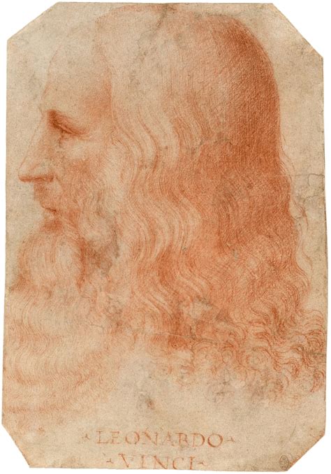 Datos Fascinantes Sobre La Incre Ble Vida De Leonardo Da Vinci Li