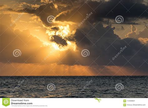 Early Morning Sunrise Over The Sea And A Birds Stock Image