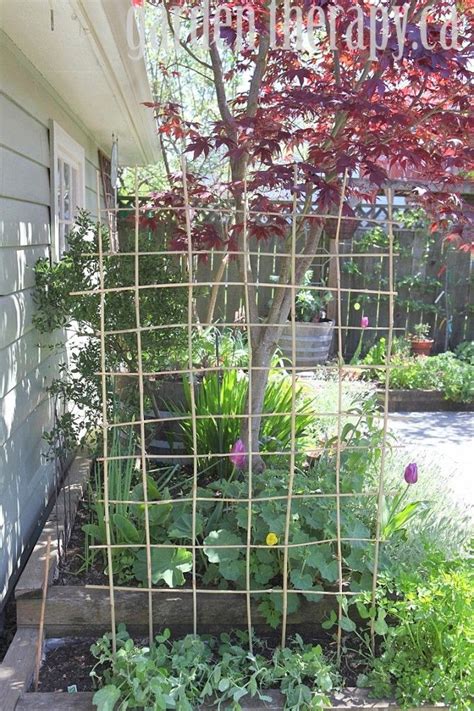 Diy Bamboo Trellis For Zucchini 15 Diy Plant Supports And Cages You