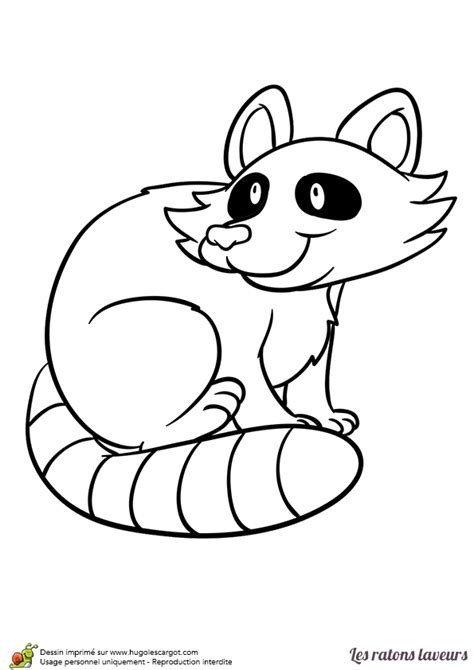 Coloriage de monsieur raton laveur