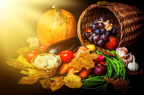 Beautiful Autumn Harvest Of Vegetables Stock Image Image Of Autumn