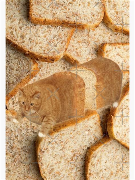 Cat Loaf Poster For Sale By Elisecv Redbubble
