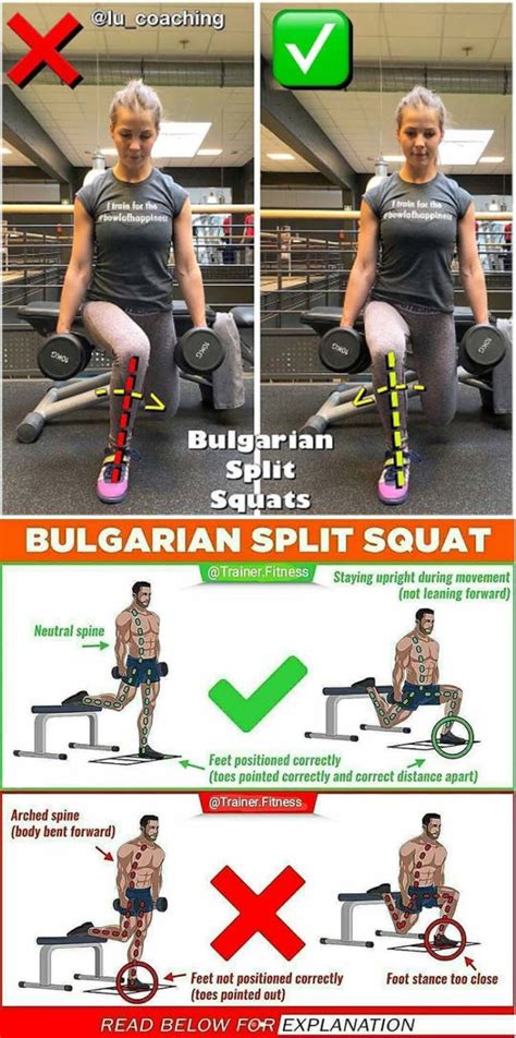 Bulgarian Split Squat Guide