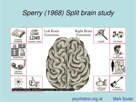 PPT - Sperry (1968) Split brain study PowerPoint Presentation, free 