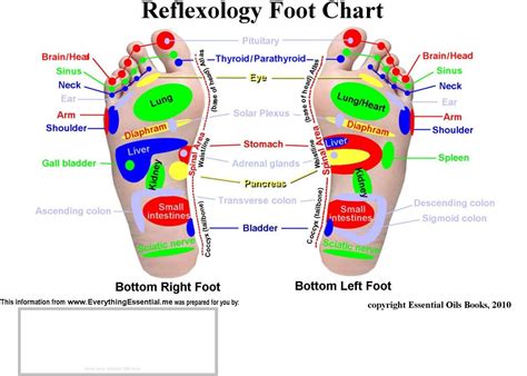 Reflexology Feet Reflexology Chart Reflexology Foot Reflexology