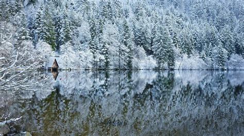 Winter Lake Bing Wallpaper Download