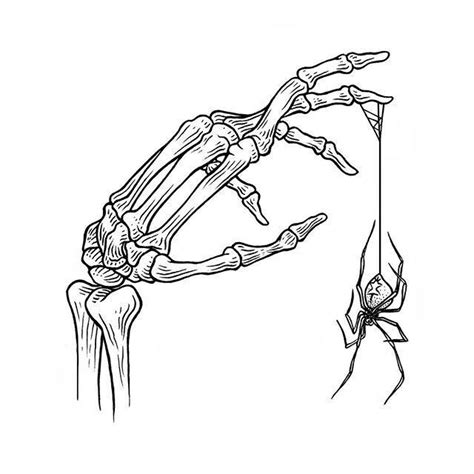 Skeleton Sketch Skeleton Drawings Skeleton Hands Drawing Anatomy Art