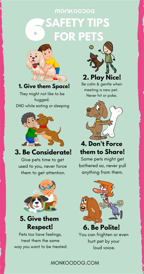 6 Dog Safety Tips To Always Keep In Mind Monkoodog