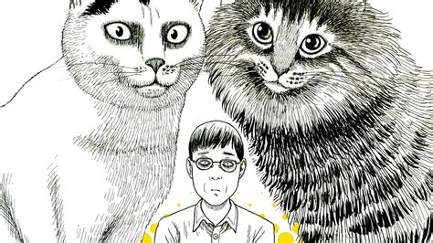 Jbc Anuncia Publicação De Junji Itos Cat Diary Yon And Mu O Megascópio