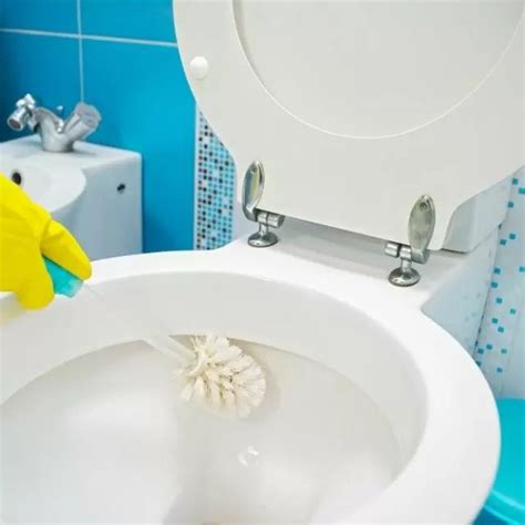 Cómo Limpiar Y Desinfectar El Baño Sin Usar Químicos Bathroom