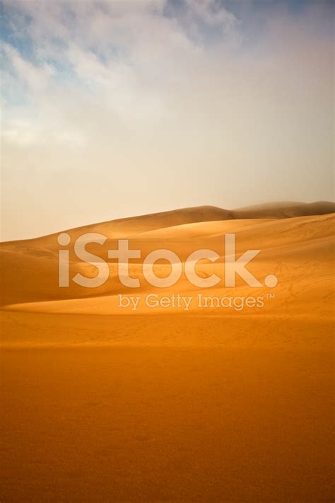 Sandy Dunes In The Desert Stock Photo Royalty Free Freeimages