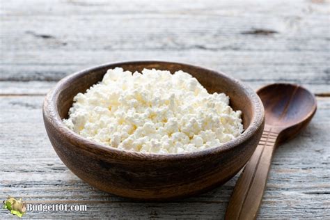 Myo Ricotta Cheese How To Make Ricotta Cheese From Scratch