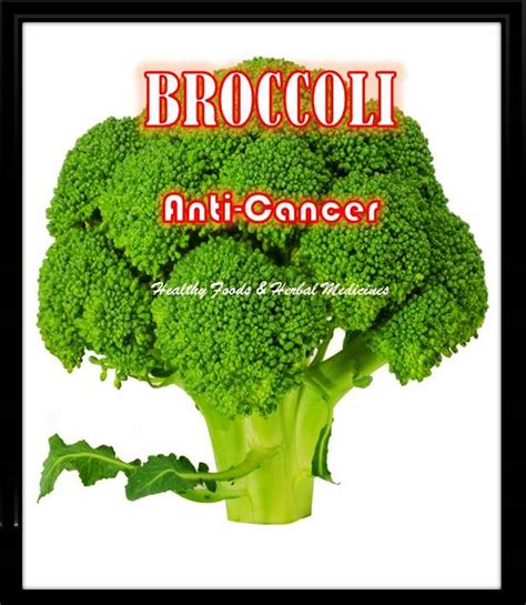 Healthy Foods And Herbal Medicines Broccoli And Cancer Prevention