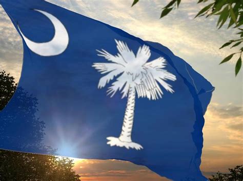 Palmetto State Takes Another Crack At State Flag Redesign Explore