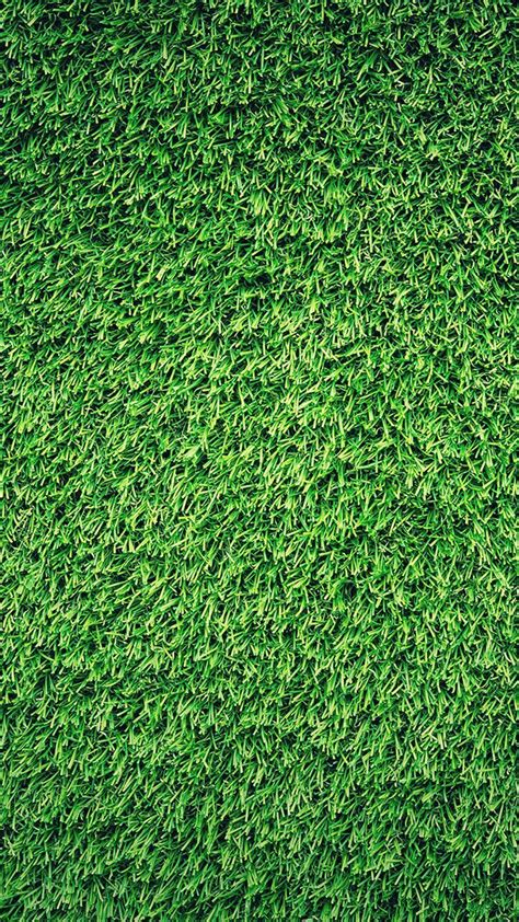 Grass Iphone Wallpapers Top Free Grass Iphone Backgrounds