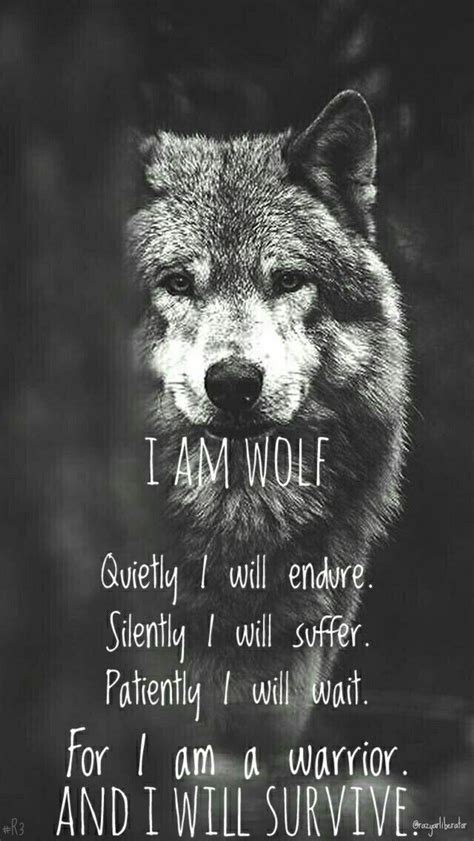 Wolf I Am Wolf Quietly I Will Endure Silently I Will Suffer