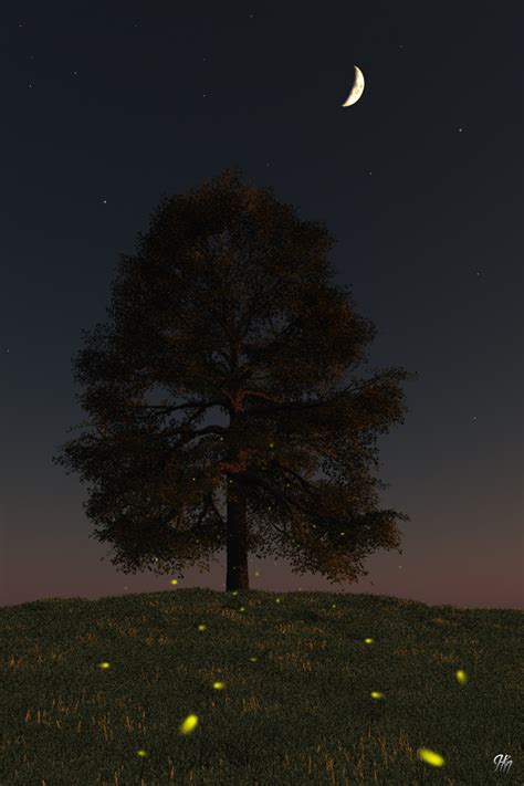 Fireflies On Tree Hill By Jhmart1 On Deviantart