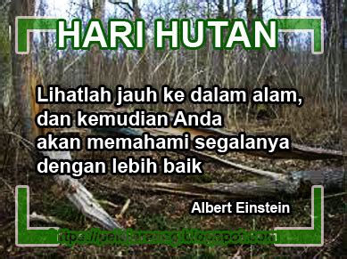 Makalah peringatan hari habitat dunia satuan tugas dinas perkim dan balai besar wilayah sungai dalam memperingati hari habitat sedunia. TEMA DAN TUJUAN PERINGATAN HARI HUTAN SEDUNIA - Kurikulum ...