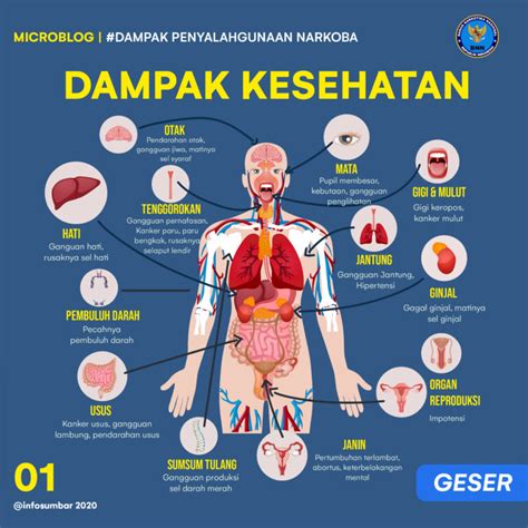 Dampak Penyalahgunaan Narkoba Bagi Banyak Aspek Kehidupan Infosumbar