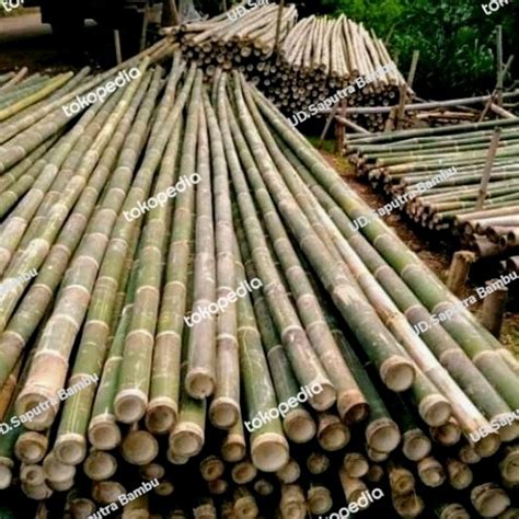 Jual Bambu Steger Murah Jakarta Jakarta Timur Udsaputra Bambu