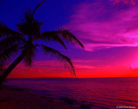 Tropical Island Sunset Flickr Photo Sharing