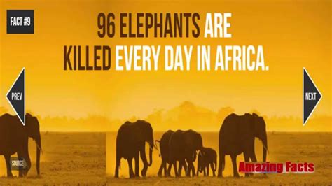 100 Interesting Facts About Africa Fact Republic Fun Facts History