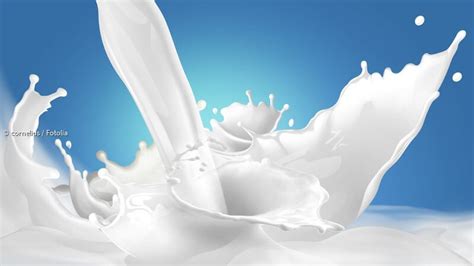 Milchhaut (regional auch schmand bzw. Milch - Gesundheitswert und Verwendungsmöglichkeiten ...