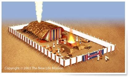 The New Life Mission Studi Biblici