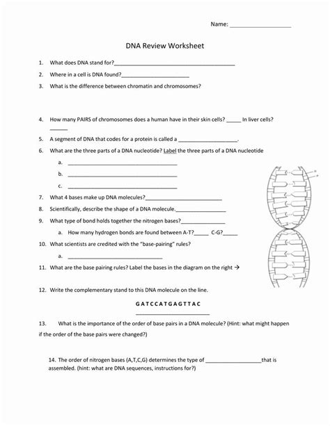 Dna analysis is, after immunofluorescence, the second most important application of flow the key elements in obtaining a histogram of high quality are sample preparation, instrument alignment and instrumental variability. Chapter 14 The Human Genome Worksheet Answer Key — db ...