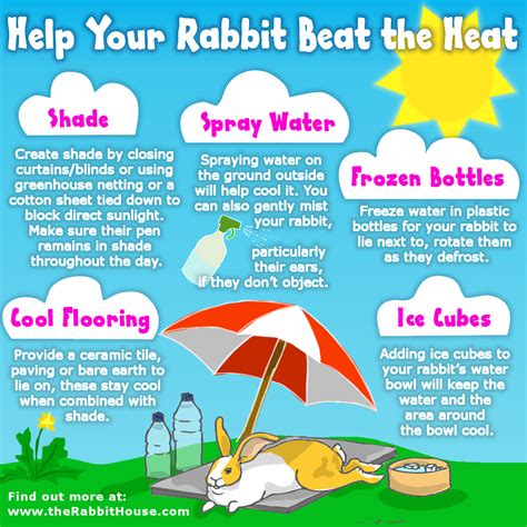Keeping Your Rabbit Cool In The Summer Rabbit Hutch World