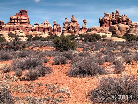 Potd March 24 2015 The Doll House Maze District Of Canyonlands