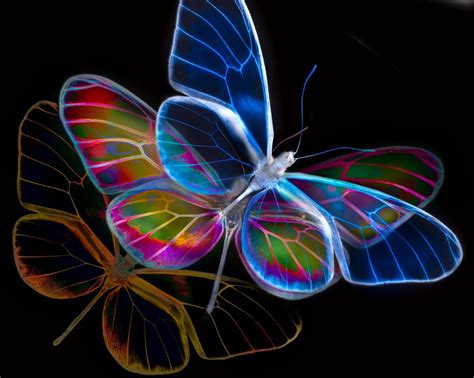 36 Neon Butterfly Desktop Wallpaper