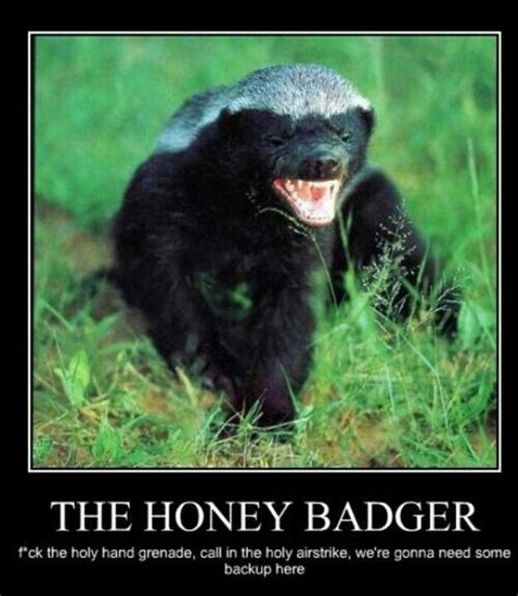 Aint No Use Honey Badger Gonna F You Up Honey Badger Badger