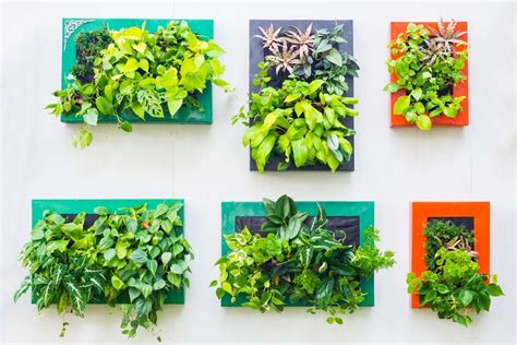 Indoor Vertical Garden Review Which Is Best Grow Food Guide