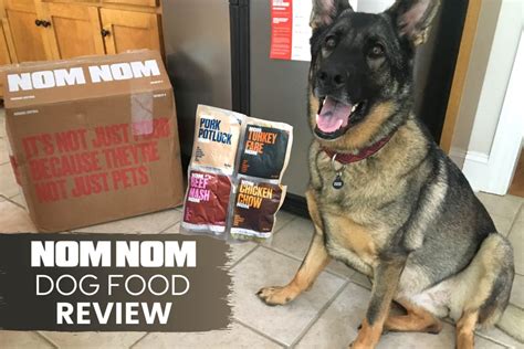 Nom Nom Dog Food Reviews 2023 My Dogs Surprising Results Canine Bible