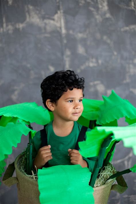 House Plant Costume Halloween Costumes To Make House Plants Costumes