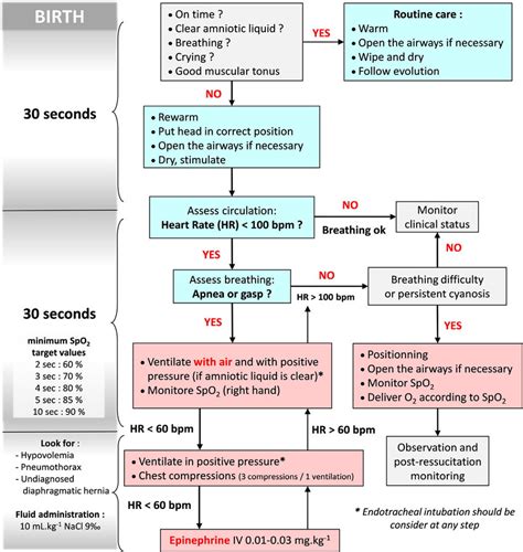 Nrp Neonatal Resuscitation Algorithm