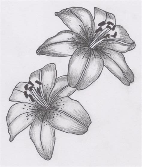 Lily Tattoos Designs Ideas And Meaning Tattoos For You Lily Flower