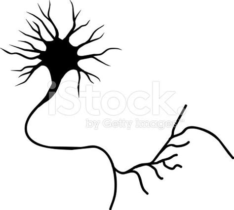 Neuron Royalty Free Stock Vector Art Nerve Cell Free Vector Art