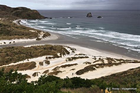 Otago Peninsula Dunedin Sandfly Bay New Zealand