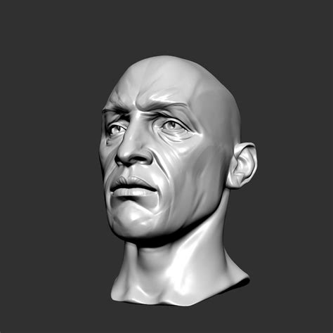 Male Head Sculpt Human Anatomy Fantasy Futuristic 3d Model Cgtrader