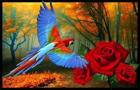 Arara Flores Nature - Free photo on Pixabay - Pixabay