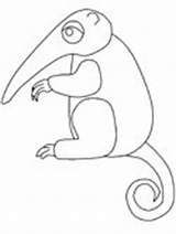 Anteater Coloring Animals Coloringpages101 Comment Advertisement Ws Coloringpagebook sketch template