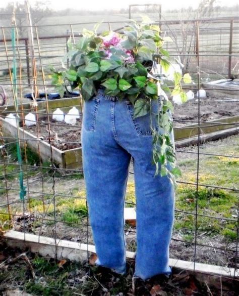 Jeans Planter Old Jeans Planters Diy Planters