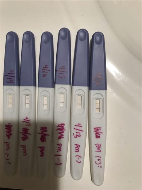 Need Help Determining Ovulation Test Results Glow Community